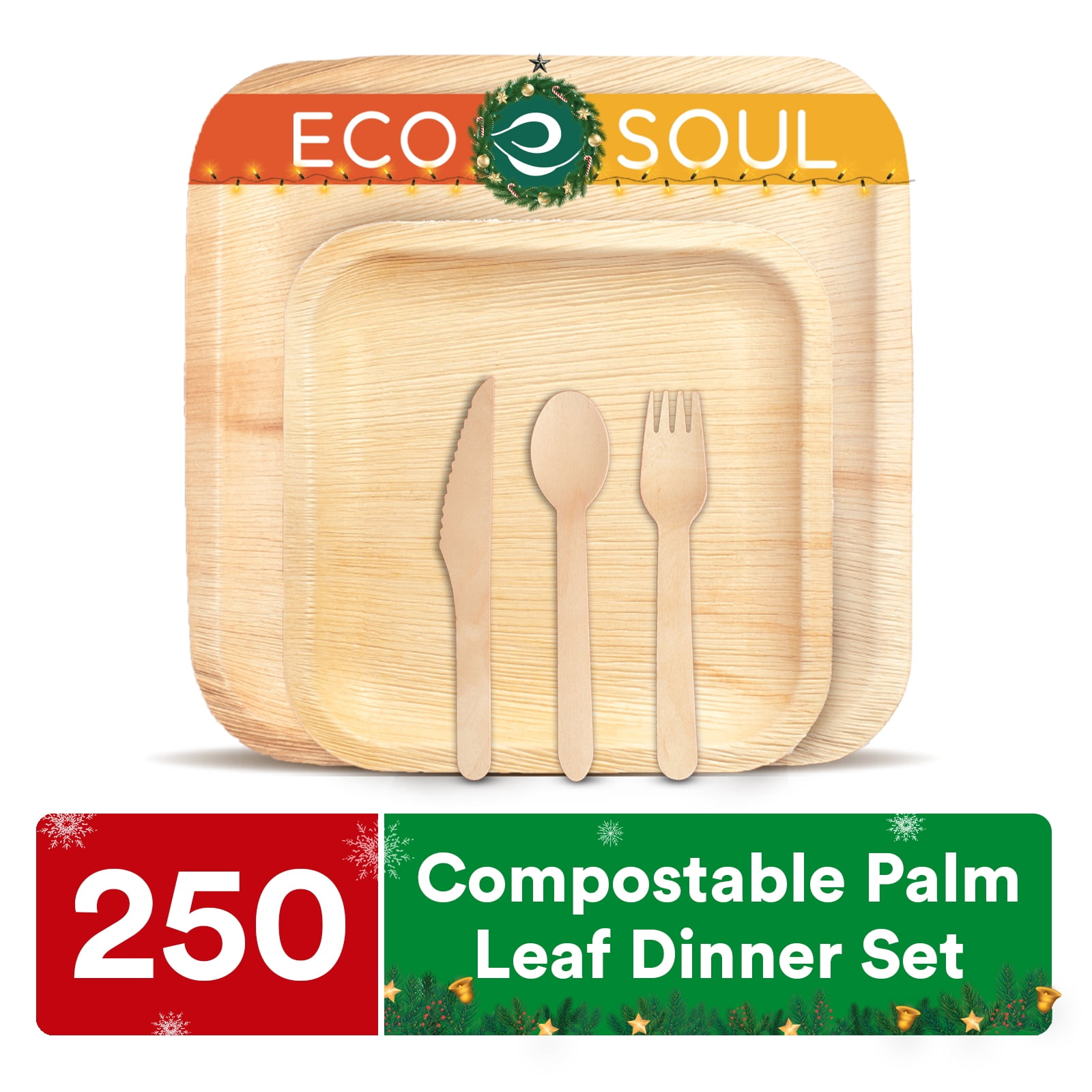 Repurpose Compostable Dinner Plates Case