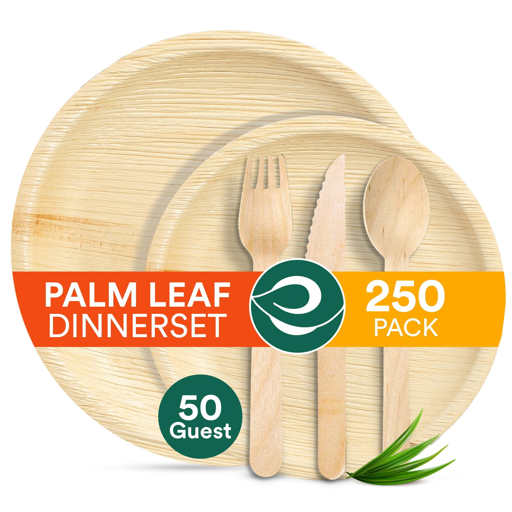 ECO SOUL Kompostierbare Palmblattteller – 100 Stück, 15 Cm, Rund, Mikrowellengeeignet