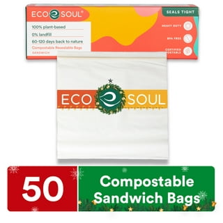 Ziploc Seal Top Sandwich Bags, 580 ct