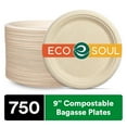 thumbnail image 1 of ECO SOUL 9 Inch Round, 750 Count, (2 Pack) Disposable Paper Plates, 1 of 9