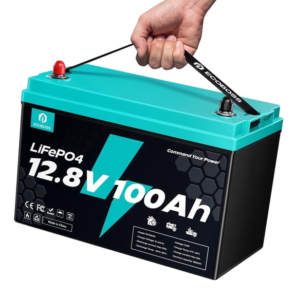 ECOBOSS 12V 100Ah LiFePO4 Group 31 Battery, 1280Wh Lithium Deep Cycle Battery with 120A Bms and Low-Temp Protection