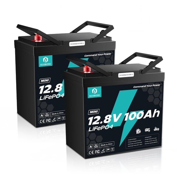 ECOBOSS 2 Pack 12V 100Ah LiFePO4 Battery, Group 24 Mini Deep Cycle Lithium Battery, 2560Wh Total Energy for RV Marine Solar