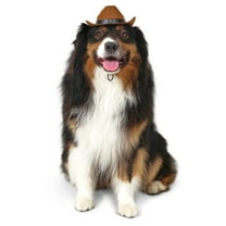 Vibrant Life Halloween Cowboy Hat Costume for Dogs, Brown, Medium/Large