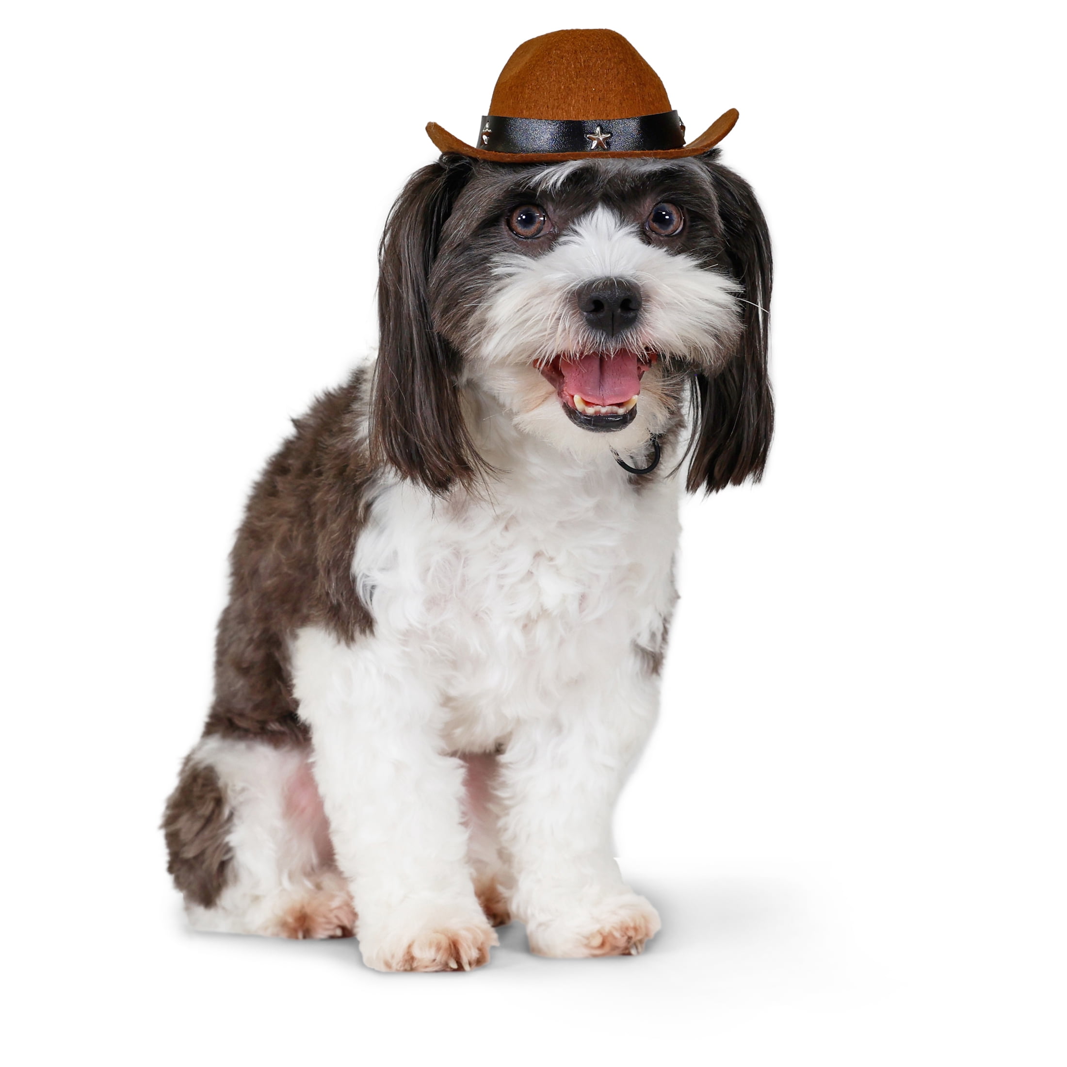 Vibrant Life Halloween Cowboy Hat Costume for Dogs & Cats, Brown, Extra Small/Small