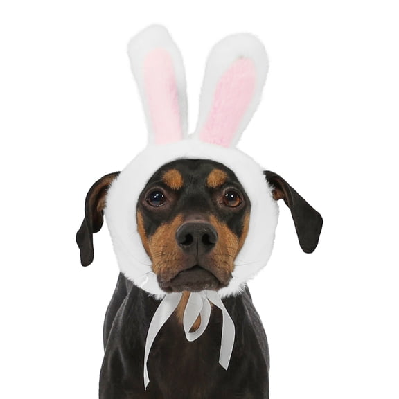Vibrant Life Easter Bunny Ears for Dogs and Cats, White, S