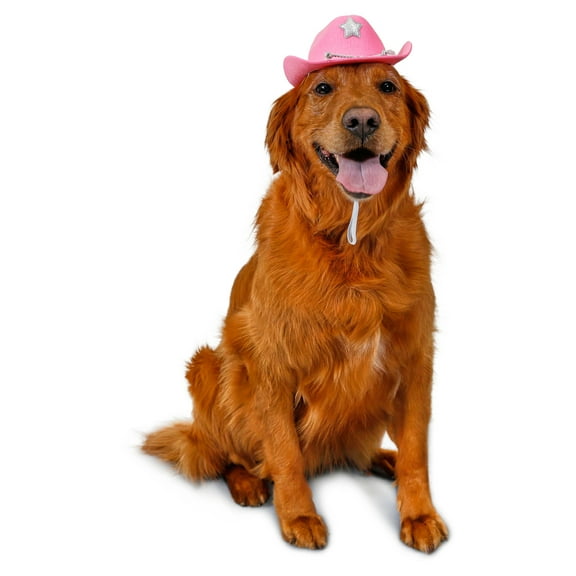 Vibrant Life Halloween Cowboy Hat Costume for Dogs, Pink, Medium/Large
