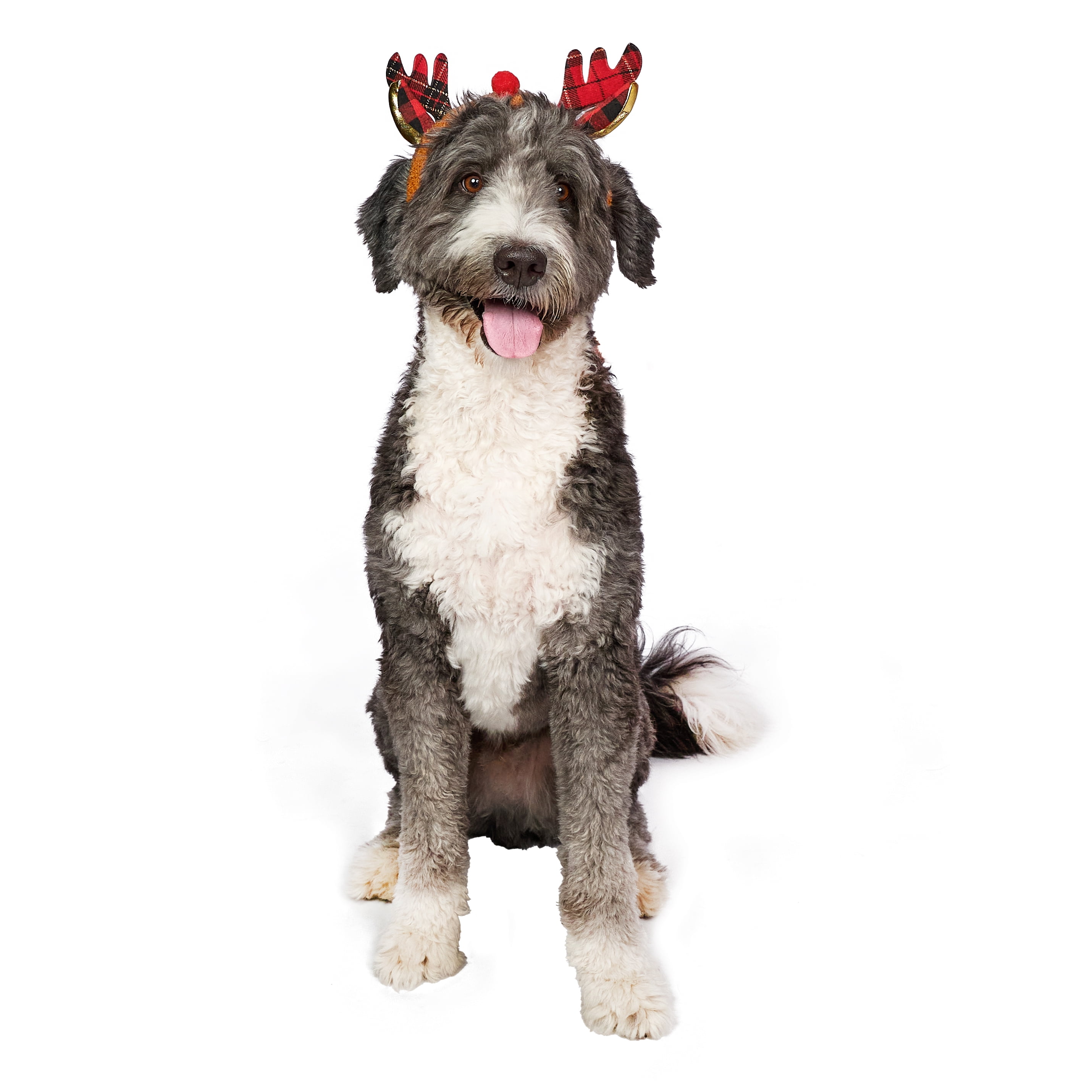 Vibrant Life Holiday Pet Reindeer Antlers Hat for Dogs, Brown, Medium/Large