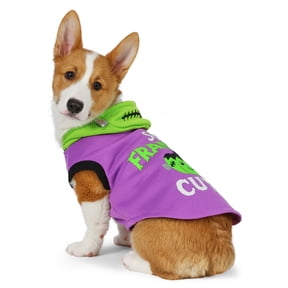 Vibrant Life Halloween Hoodie for Dogs and Cats, So Franken Cute, Purple and Green, S