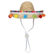 Vibrant Life Halloween Sombrero Hat Costume for Dogs, Multicolor, M/L