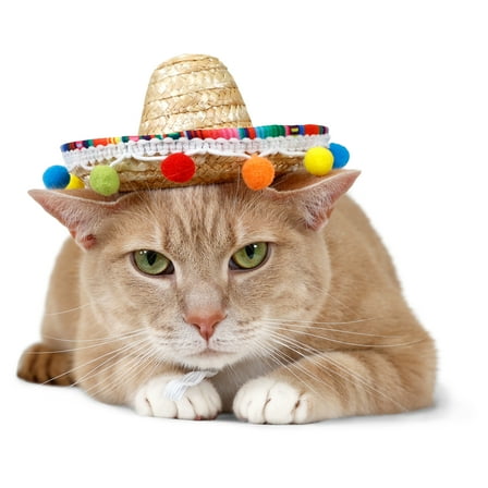 Vibrant Life Halloween Sombrero Hat Costume for Dogs & Cats, Multicolored, Extra Small/Small