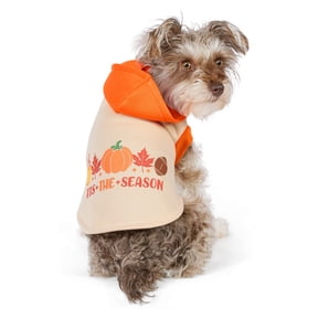 Vibrant Life Halloween Hoodie for Dogs and Cats, 'Tis the Season, Yellow and Orange, XS