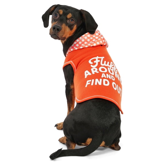 Vibrant Life Spring Pet Hoodie for Cats & Dogs, Fluff Around and Find Out, Orange, S