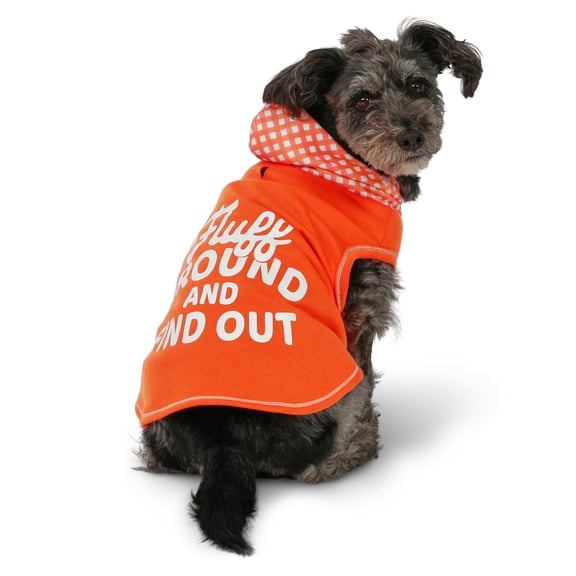 Vibrant Life Spring Pet Hoodie for Dogs, Fluff Around and Find Out, Orange, M