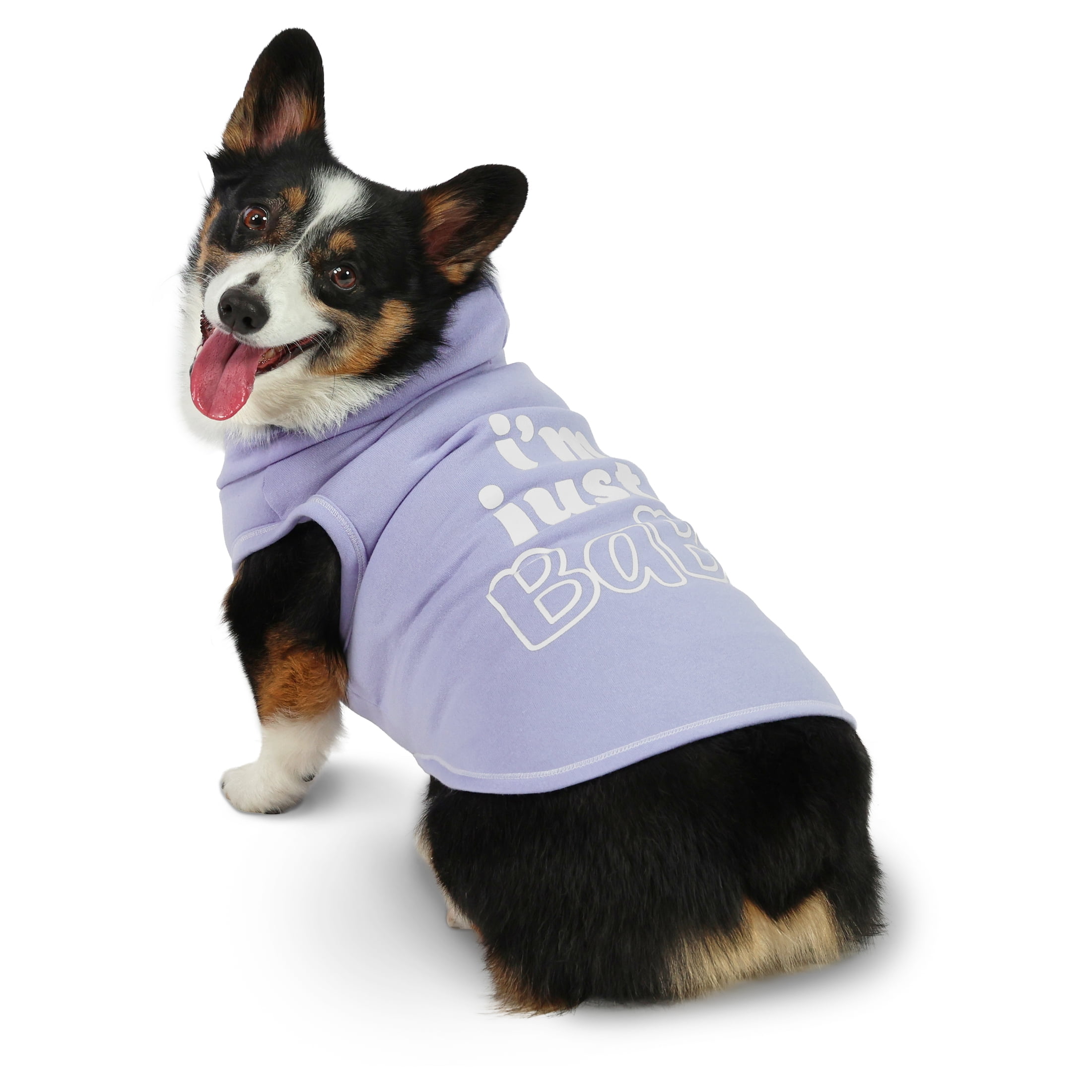 Vibrant Life Easter I'm Just a Baby Hoodie for Dogs, Blue, M