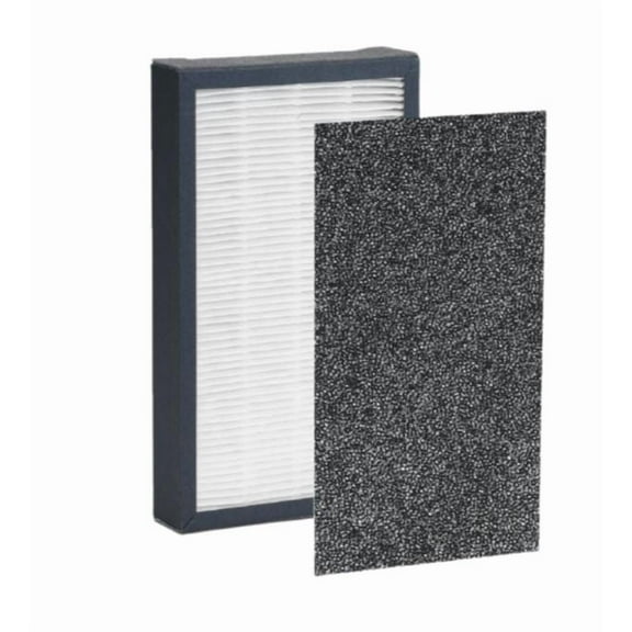 ECOREMEND Replacement filter for GermGuardian FLT4825 Series Air Purifier Filter B, Model AC4825 AC4300 AC4800 4900, ,1 HEPA Filter and 1 Carbon Pre-Filter