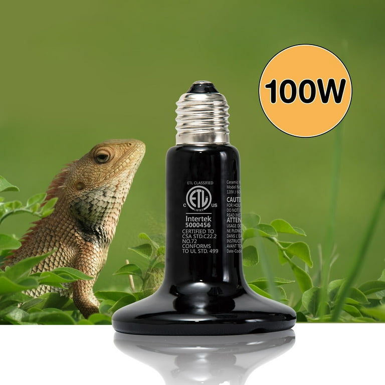 Heat lamp bulb for hotsell bearded dragon