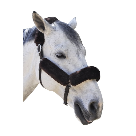 ECP Merino Sheepskin Halter Fleece Set, 4 Pieces, Brown