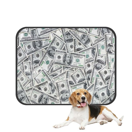 ECZJNT Background 100 Dollar Bills Pet Dog Cat Bed Pee Pads Mat Cushion Potty Dogsblankets Crate Bed Kennel 20x24 inch