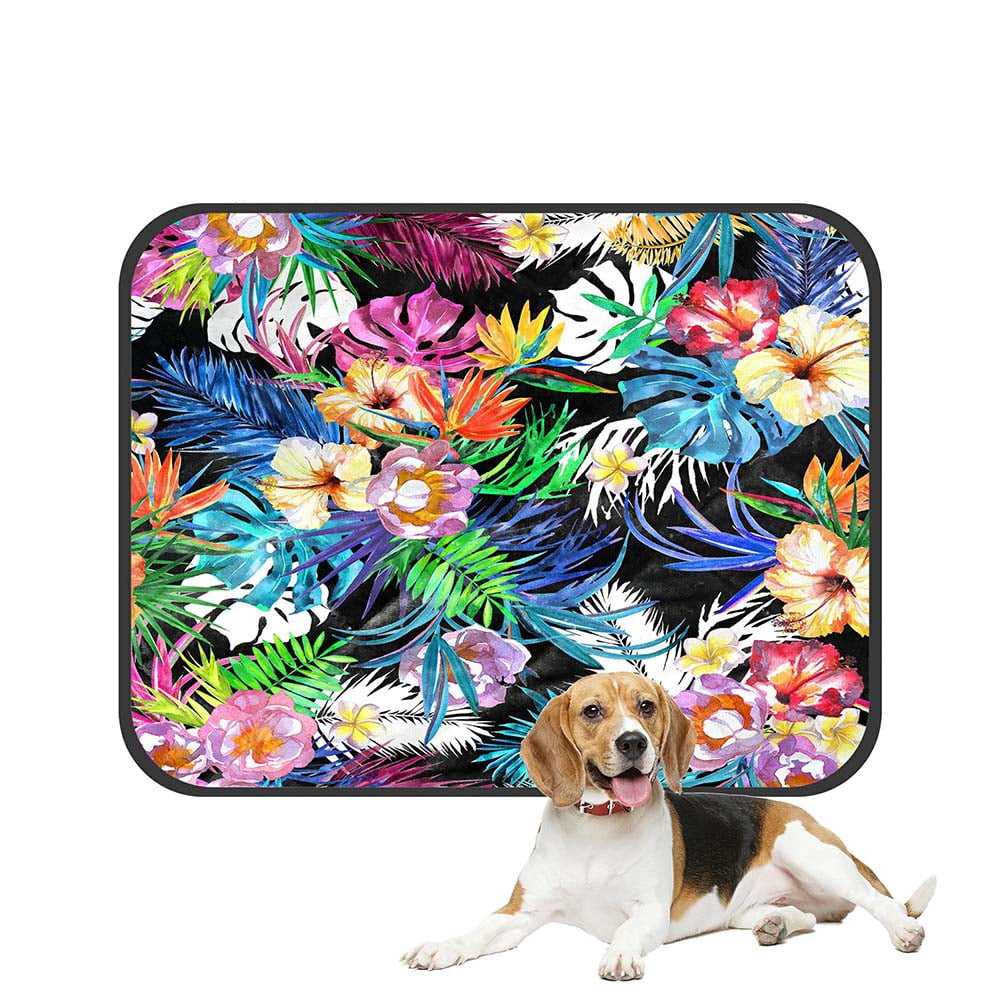 Curated visual reference: Fresh Look at Eczjnt Blossom Flowers Colorful Leaves Monstera Palm Leaves Pet Dog
