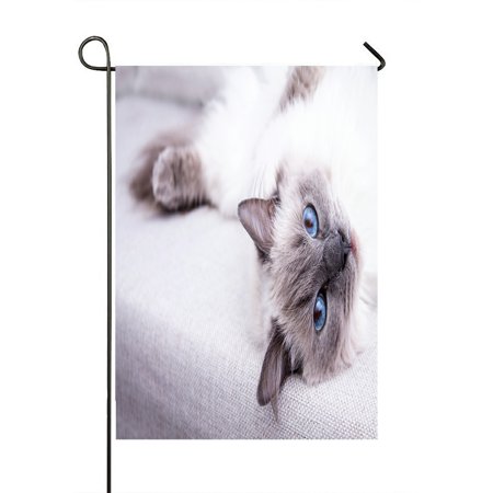 ECZJNT Blue Ragdoll cat lying on the couch Outdoor Flag Home Party Garden Decor 28x40 Inch