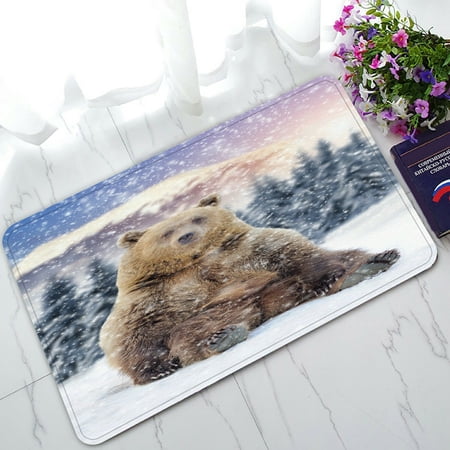ECZJNT Close wild brown bear in winter time Doormat Bath Mat Rug Entrance Rug Floor Mats 30x18 Inch