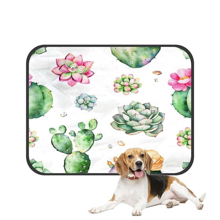 ECZJNT Colorful Succulents Plants Pebble Stones Branches Pet Dog Cat Bed Pee Pads Mat Cushion Potty Dogsblankets Crate Bed Kennel 20x24 inch