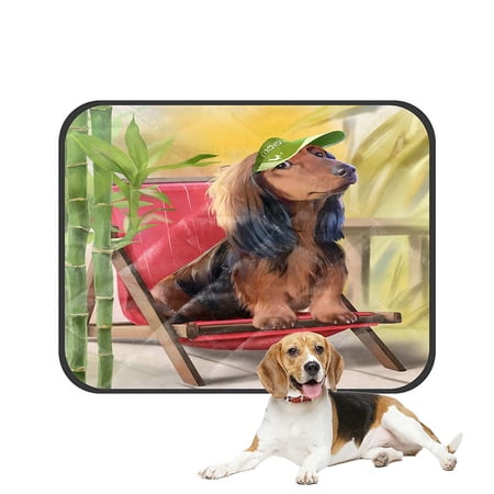 ECZJNT Dachshund Pet Dog Cat Bed Pee Pads Mat Cushion Potty Dogsblankets Crate Bed Kennel 36x48 inch