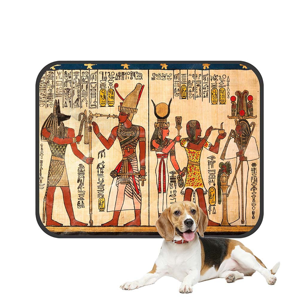 ECZJNT Egyptian Papyrus With Antique Hieroglyphs Pet Dog Cat Bed Pee