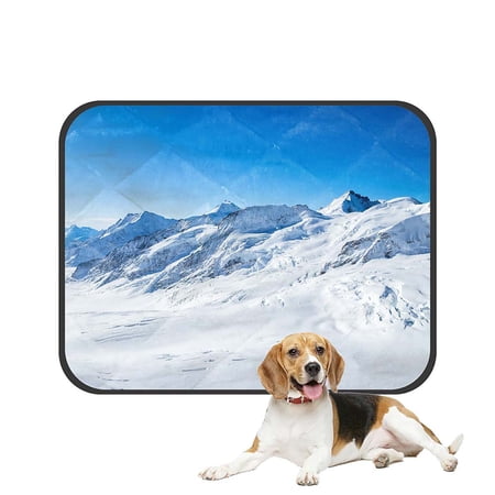 ECZJNT Mountains With Snow In Winter Switzerland Pet Dog Cat Bed Pee Pads Mat Cushion Potty Dogs Blankets Crate Bed Kennel 14x18 inch