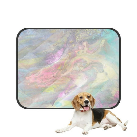 ECZJNT Pale Blue Green Yellow Pink Purple Color Streaks Light Petrol Stain Pet Dog Cat Bed Pee Pads Mat Cushion Potty Dogsblankets Crate Bed Kennel 20x24 inch