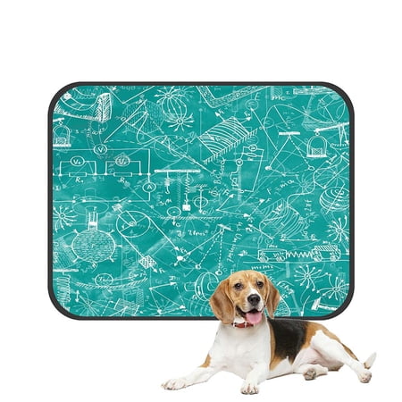 ECZJNT Pattern Physics Drawings Doodle Style Pet Dog Cat Bed Pee Pads Mat Cushion Potty Dogsblankets Crate Bed Kennel 14x18 inch