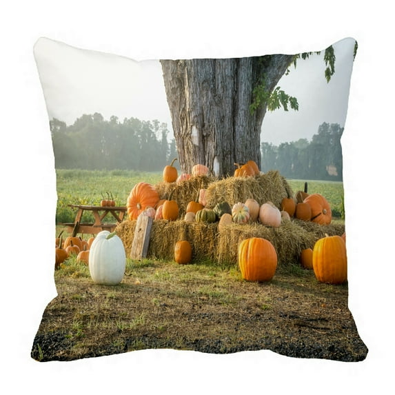ECZJNT Pumpkins Haystack Tree Rural Central New Jersey Pillow Case Cover Set 20x20 Inch
