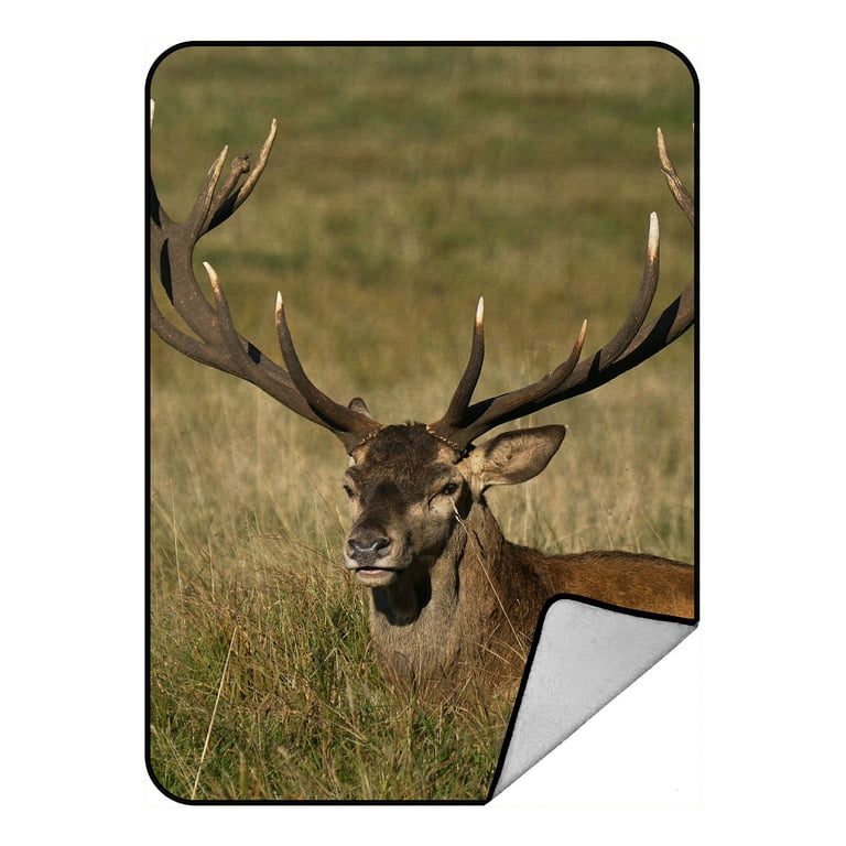 Stag fleece throw 2025