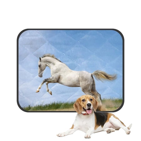 ECZJNT Silver White Stallion In Grass Pet Dog Cat Bed Pee Pads Mat Cushion Potty Dogs Blankets Crate Bed Kennel 20x24 inch