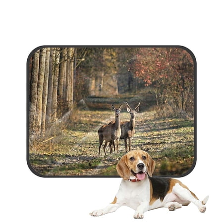 ECZJNT Stag And Doe In A Forest Pet Dog Cat Bed Pee Pads Mat Cushion Potty Dogs Blankets Crate Bed Kennel 20x24 inch