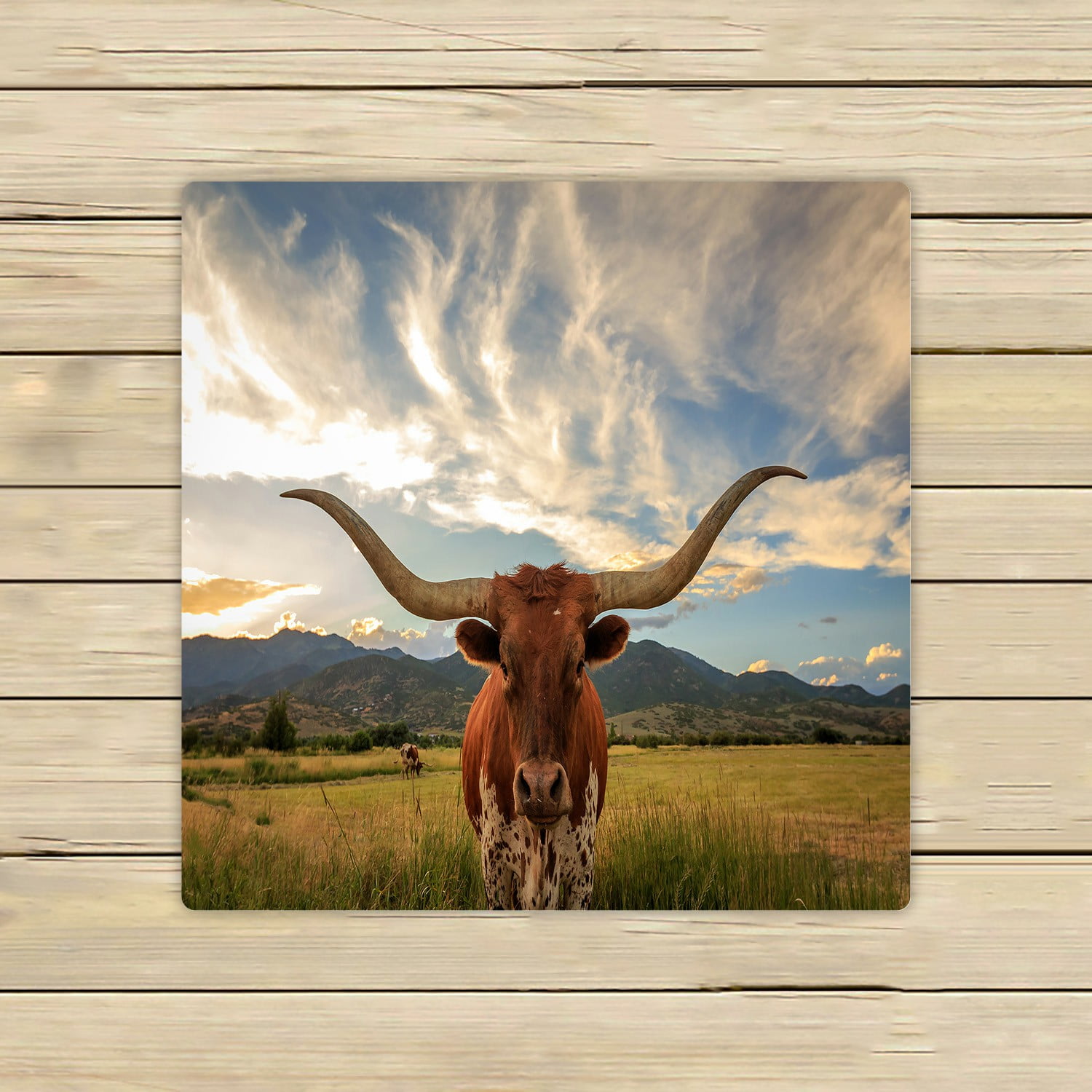 ECZJNT Texas Longhorn Steer Rural Utah Usa Beach Bath Towels Shower