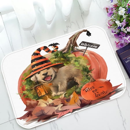 ECZJNT The Puppy In The House Made Of Pumpkin Welcome Doormat Bath Mat Rug Entrance Rug Floor Mats 23.6x15.7 inch