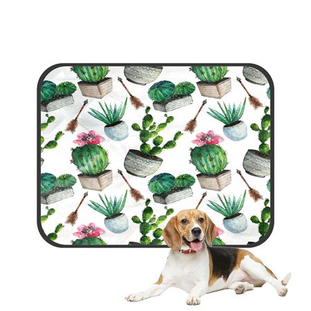 ECZJNT Watercolor Cactus Succulent Vintage Cactus Pet Dog Cat Bed Pee Pads Mat Cushion Potty Dogsblankets Crate Bed Kennel 28x36 inch