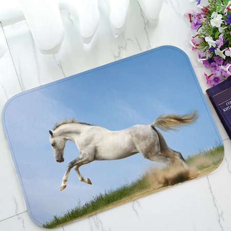 ECZJNT silver white stallion in grass Doormat Bath Mat Rug Entrance Rug Floor Mats 23.6x15.7 Inch