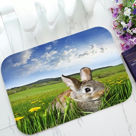 ECZJNT spring rabbit on a meadow with dandelions Doormat Bath Mat Rug Entrance Rug Floor Mats 23.6x15.7 Inch