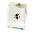 thumbnail image 1 of ED SPELDY EAST PW103 Paperweight  small  Honey bee, 1 of 1