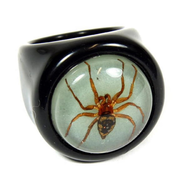 ED SPELDY EAST R0018-6 Ring  Spider  Black Ring with Glow in the Dark Back  Size 6