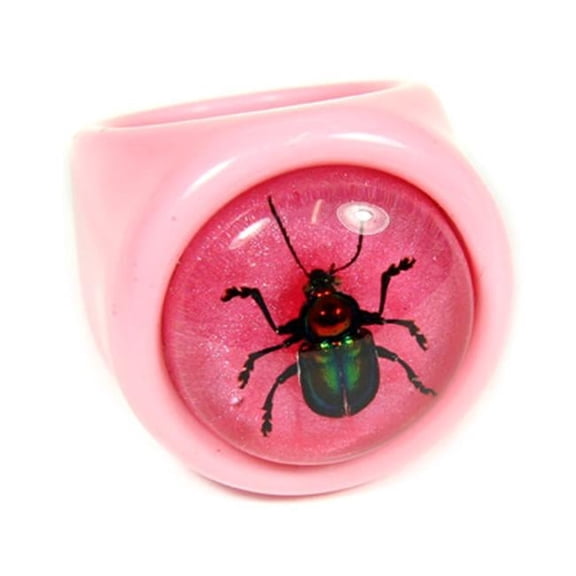 ED SPELDY EAST R0026-6 Ring  Shiny Beetle  Pnk with Pink Background  Size 6
