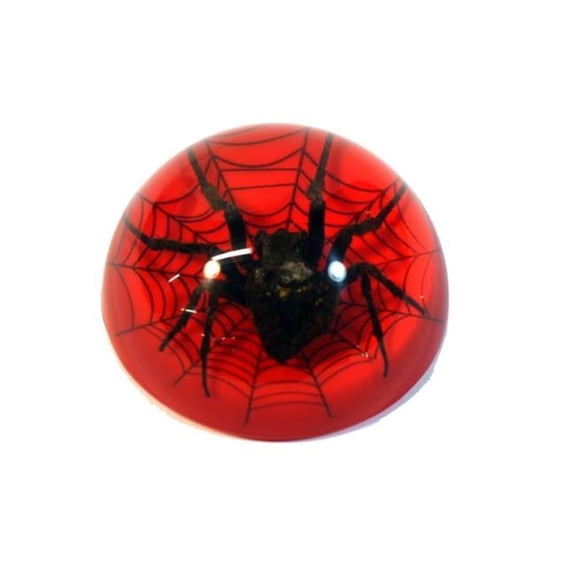 ED Speldy East TC216 Spider On Web Terrain, Red