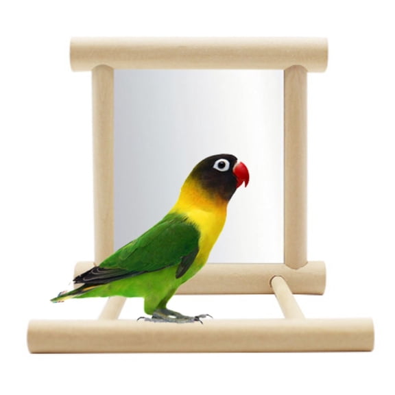 EDHITNR Bird Cage Mirror Toy, Interactive Parrot Toy with Safe Mirror, Bird Cage Decoration for Parrots and Birds to Stimulate Curiosity and Reduce Loneliness