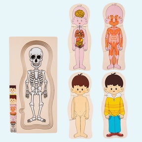 EDHITNR Human Body Structure Puzzle Board Wooden Body Organs Brain Cognition Science Popularization, Interactive Anatomy Learning Tool with Grooves, Early Education Multi Layer Puzzle 1 Set