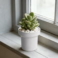 thumbnail image 1 of EDHITNR Pot Indoor Mini, Simple Plastic Flower Pot with Drainage Hole for Desktop Office Home Decor, 1 of 6