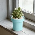 thumbnail image 1 of EDHITNR Pot Indoor Mini, Simple Plastic Flower Pot with Drainage Hole for Desktop Office Home Decor, 1 of 6