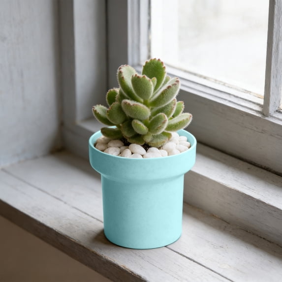 EDHITNR Pot Indoor Mini, Simple Plastic Flower Pot with Drainage Hole for Desktop Office Home Decor