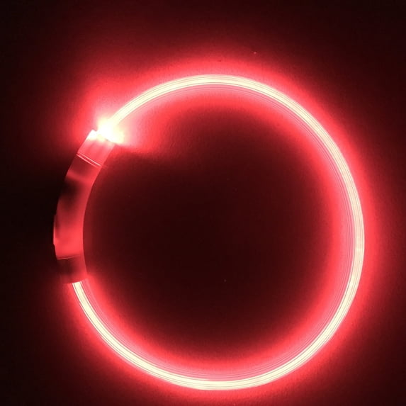 EDHITNR USB Rechargeable Pet Flashing Collar, Glowing Dog Collar Light Up for Night Walking, LED Safety Collar Neon for Dogs Cats Nighttime Visibility, Red